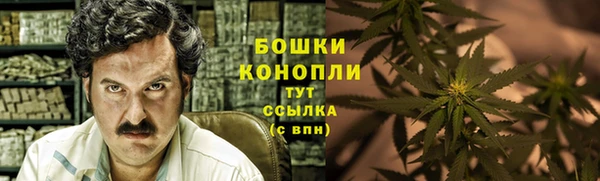 ешки Белокуриха