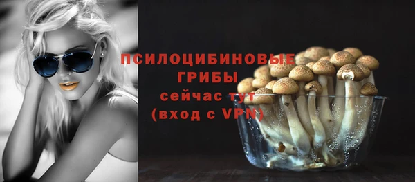 спиды Белоозёрский