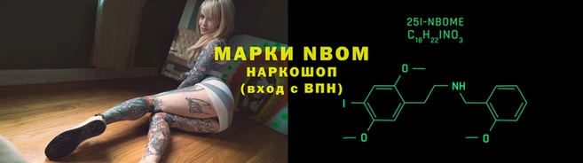 стаф Семикаракорск