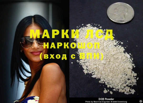 ешки Белокуриха