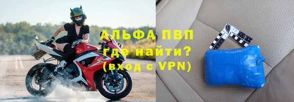 ешки Белокуриха