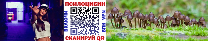 mega ссылки  где купить   Электроугли  Галлюциногенные грибы Cubensis 